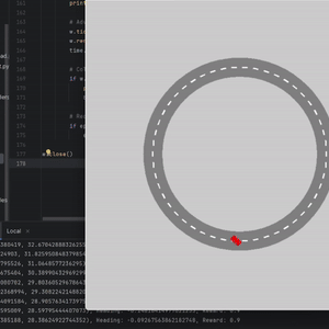 Autonomous Vehicle RL